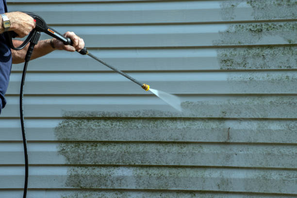 Best House Exterior Washing  in Clyde, NC